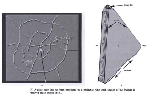 The Fractured Glass and the Erosion of Boundaries