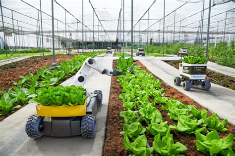 The Future of Contemporary Agriculture