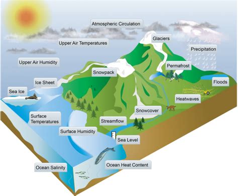 The Future of Fecal Precipitation: Can it be Predicted and Averted?