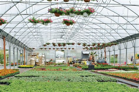 The Future of Flowers: Innovations and Advancements in Floriculture