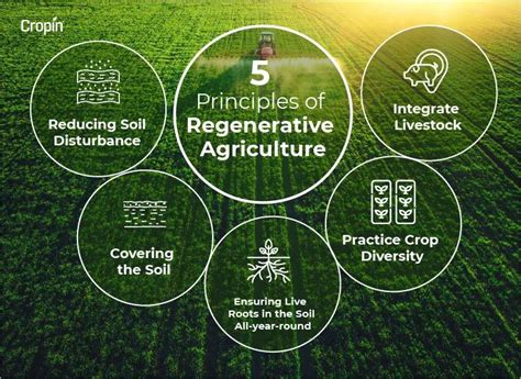 The Future of Soil Guardian Conservation and Regenerative Agricultural Practices