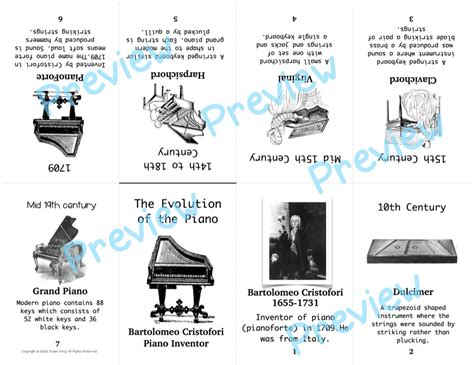 The Genesis and Evolution of the Dolphin Piano