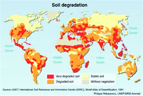 The Global Demand for Red Soil and its Economic Implications