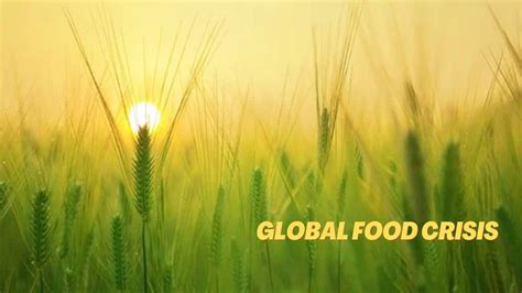 The Global Food Crisis: Causes and Solutions