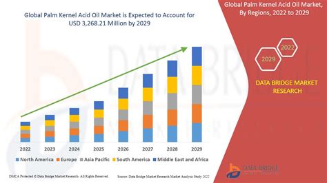 The Growing Demand for Palm Kernel in the Global Market