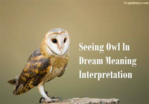 The Guiding Role of the Owl: Insights and Interpretations in Dream Analysis