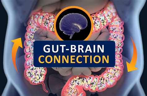 The Gut-Brain Connection: Unraveling the Link between Digestive Health and Nocturnal Terrors