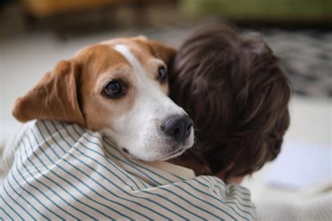 The Happiness and Satisfaction of Embracing a Canine Companion