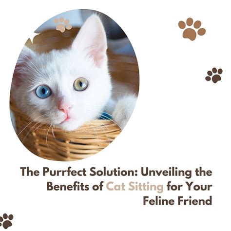 The Healing Benefits of Fantasizing About Feline Friends