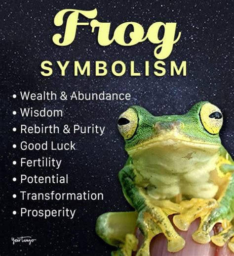 The Healing Influence of Frog Symbolism