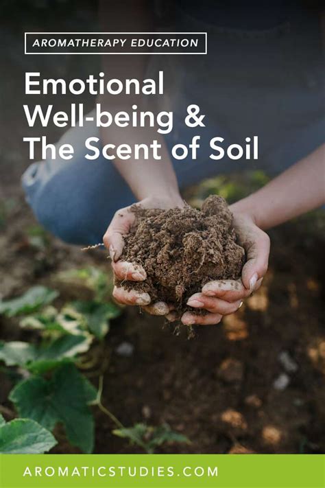 The Healing Power of Earth: Soil Therapy and Emotional Well-being