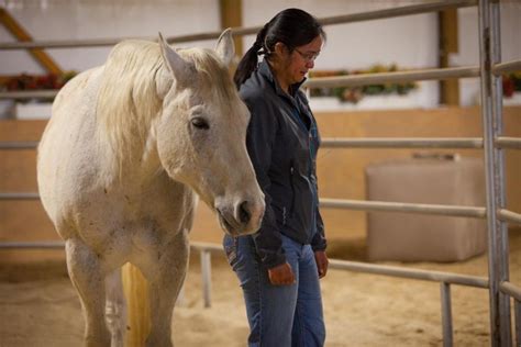 The Healing Power of Horses: Therapeutic Benefits of Equine Interaction