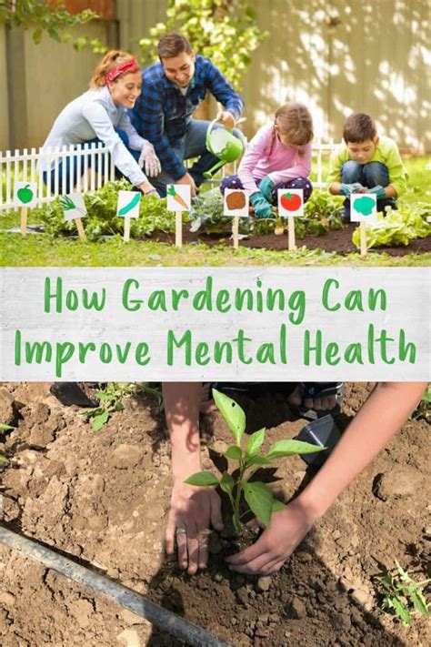 The Healing Power of Soil: How Gardening Can Improve Your Wellbeing