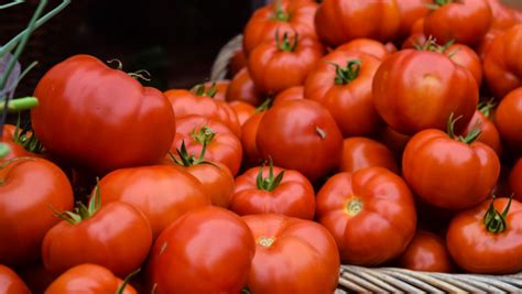 The Healing Power of Tomatoes: Folklore and Medicinal Uses