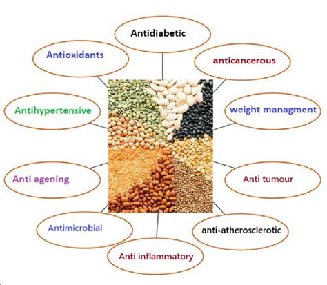 The Healing Properties of Legumes: Traditional Beliefs and Modern Scientific Findings