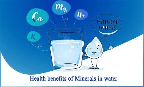 The Health Benefits: Exploring the Positive Effects of Mineral Water