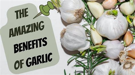 The Health Benefits of Garlic: A Clove a Day Keeps the Doctor Away