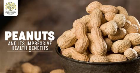 The Health Benefits of Peanuts: Opening the Doors to Wellbeing