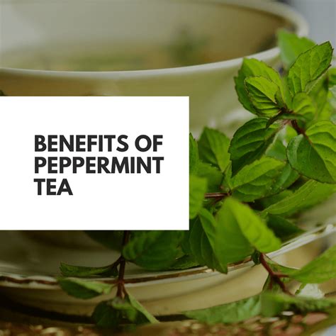 The Health Benefits of Peppermint Tea: From Soothing Digestive Issues to Boosting Immune System