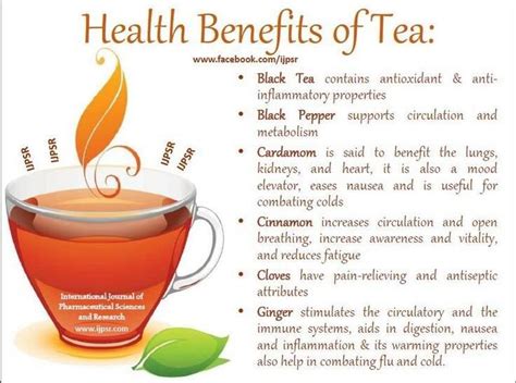 The Health Benefits of Tea: Exploring the Contributions of Tea to a Healthy Lifestyle