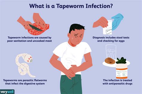 The Health Threat: Tapeworm-Related Diseases and Complications