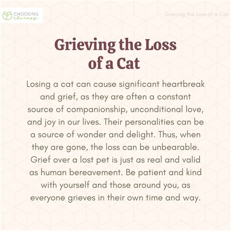 The Heartache of Losing a Cherished Kitty