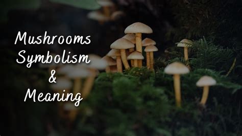 The Hidden Connection: Exploring the Meaning of Mushroom Harvesting in Dreams