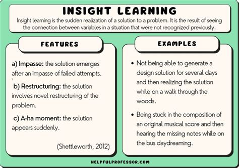 The Hidden Lessons: Exploring the Insights Gained Through an Unexpected Encounter