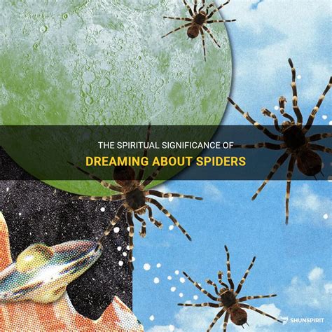 The Hidden Significance of Spider Dreams