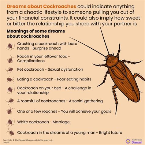 The Hidden Symbolism: Decoding the Significance of a Dream where You Tread upon a Cockroach