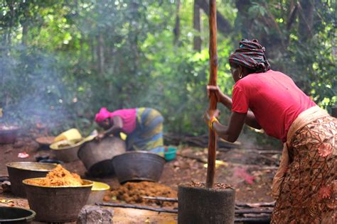 The Historical Background and Origins of Red Palm Oil