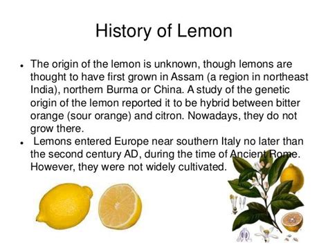 The Historical Origins of Lemon Taste in Culinary Customs