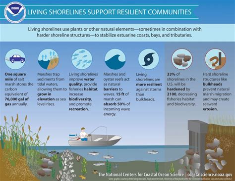 The Historical Significance of Pebbles in Aquatic Environments