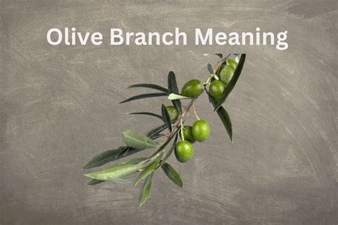 The Historical Significance of the Olive Leaf in Mythology and Religion