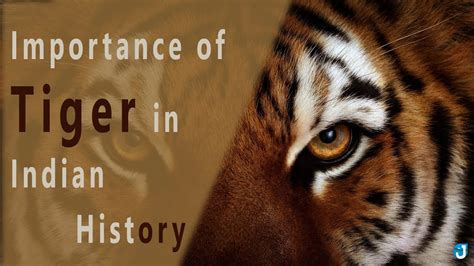 The Historical and Cultural Significance of Tigers