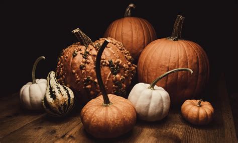 The History and Cultural Significance of Pumpkins