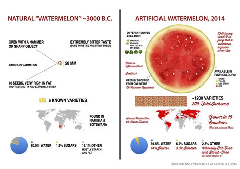 The History and Origins of Melons