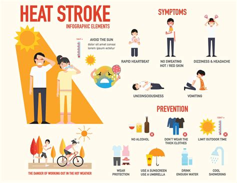 The Impact of Age and Physiological Vulnerability on Heatstroke Cases