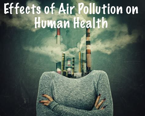 The Impact of Air Pollution on Human Health