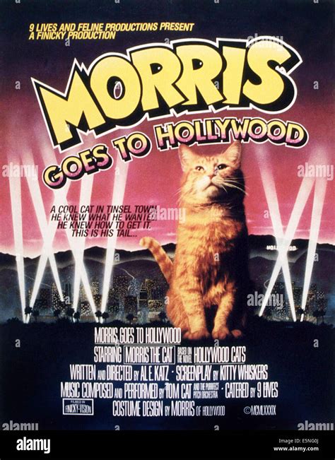 The Impact of Cat Morris on the Fashion and Entertainment Industries