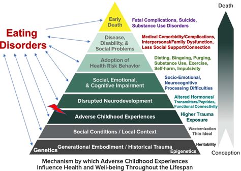 The Impact of Childhood Experiences on Dream Patterns