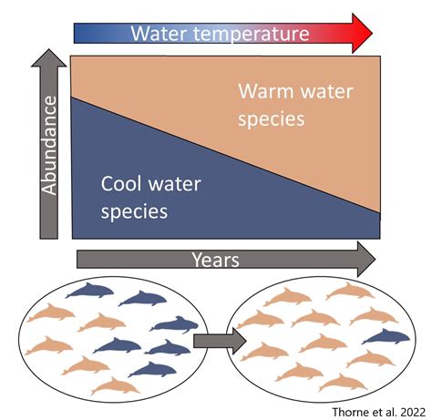 The Impact of Climate Change on Micro Cetaceans' Populations