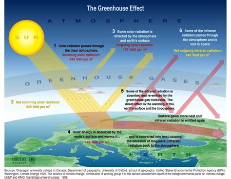 The Impact of Climate Change on Oxygen Levels: An Unsettling Reality