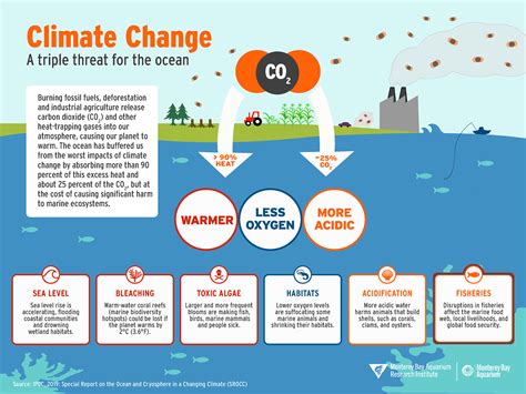 The Impact of Climate Change on the Ocean: Understanding the Effects of Global Warming