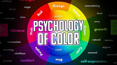 The Impact of Color on the Psychological Aspect of Dining