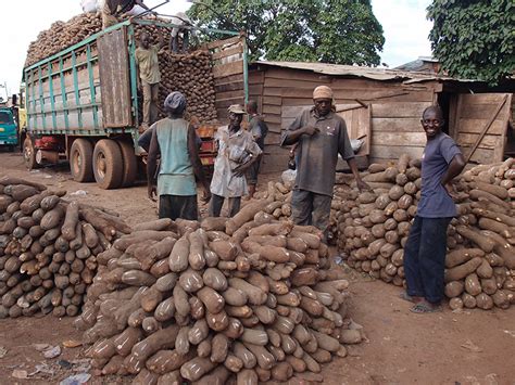 The Impact of Cuisine and Cultural Heritage on the Interpretations of Yam Dreams