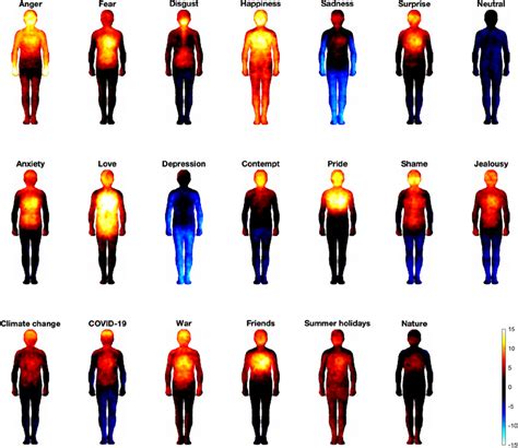 The Impact of Emotions: Analyzing the Sensations Associated with Shimmering Avian Creatures