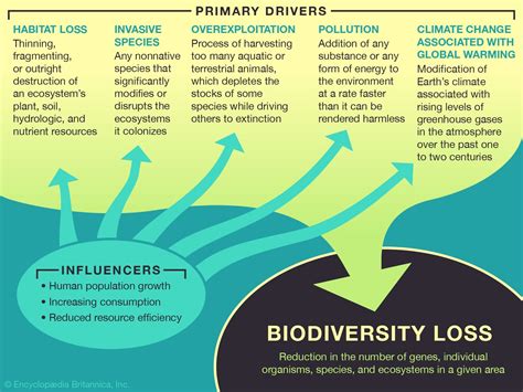 The Impact of Extended Grass Growth on the Environment and Biodiversity