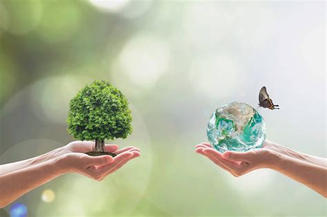 The Impact of Green Dreaming on the Environment and its Contribution to Conservation Efforts