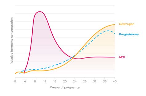 The Impact of Hormonal Fluctuations on Dream Patterns during Early Pregnancy